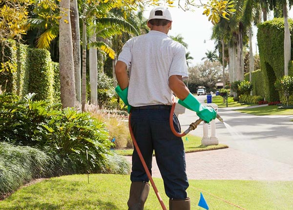 About Little York NJ Pest Control Pros